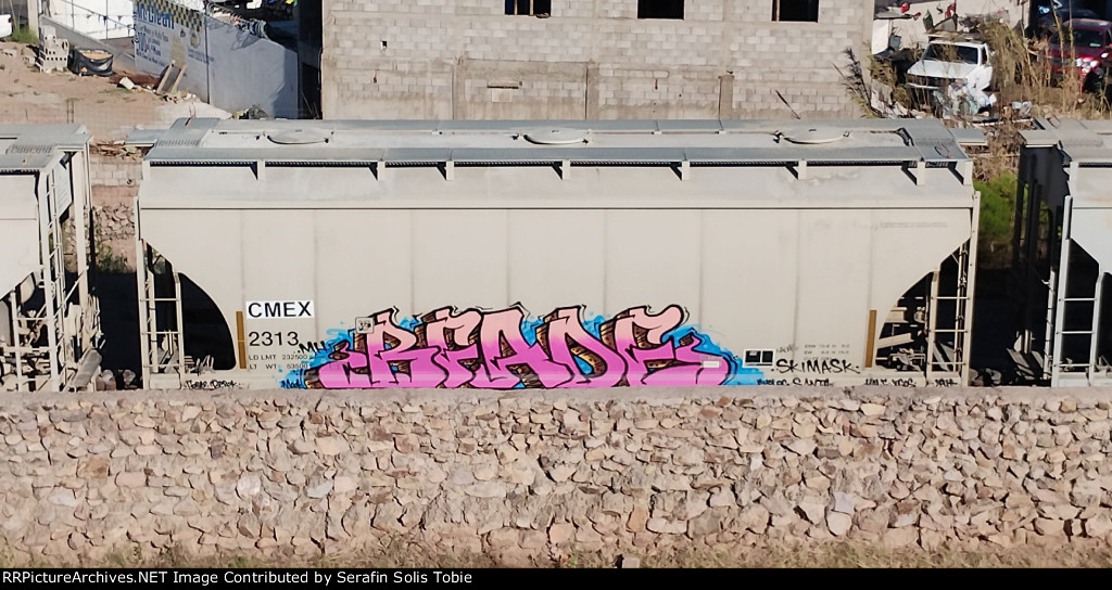 CMEX 2313